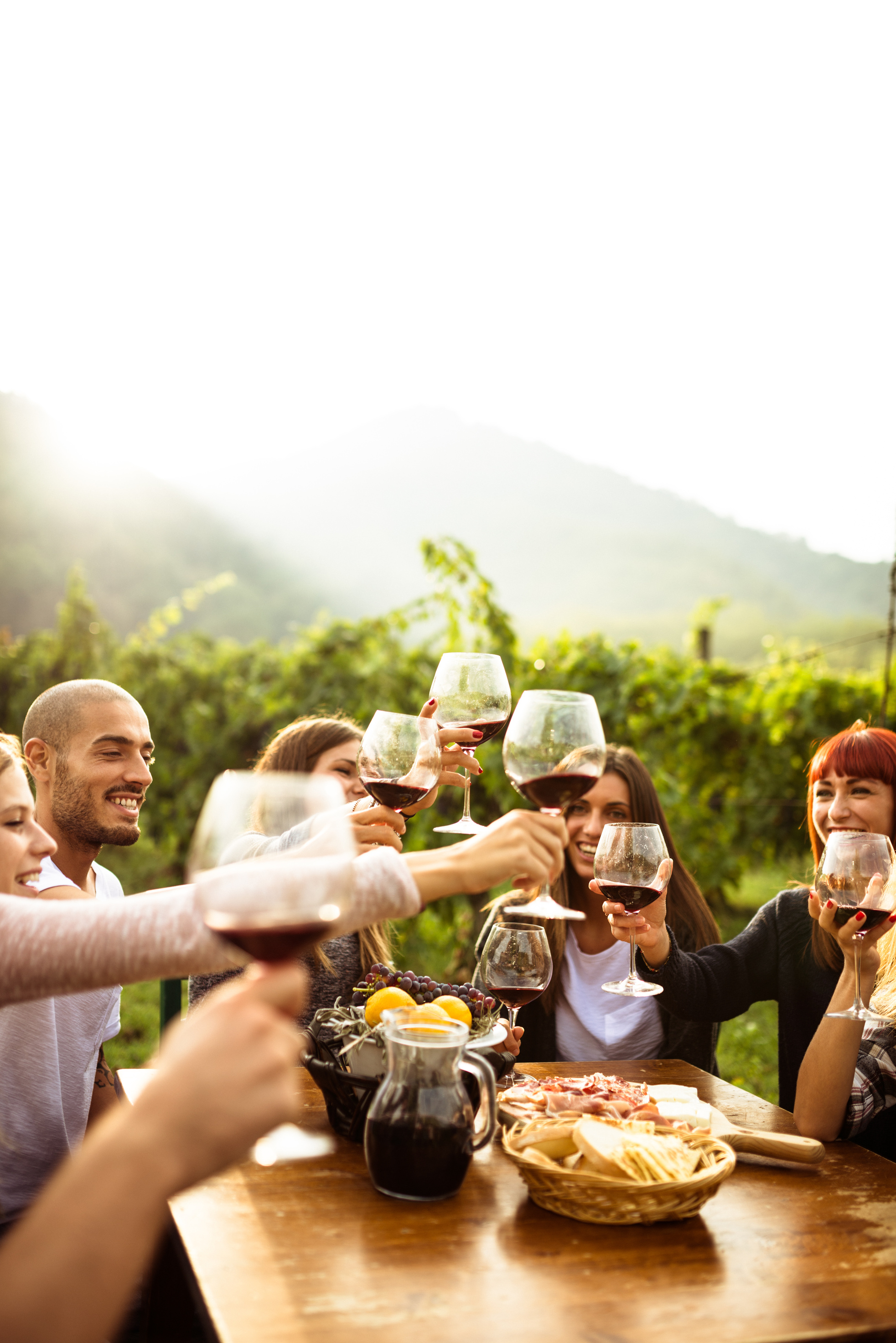 friends doing a wine tasting